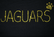 cheerleader t shirt Jaguar cheerldeaer team shirts