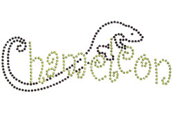 chamelion rhinestone logo> 
                  <p><font face=